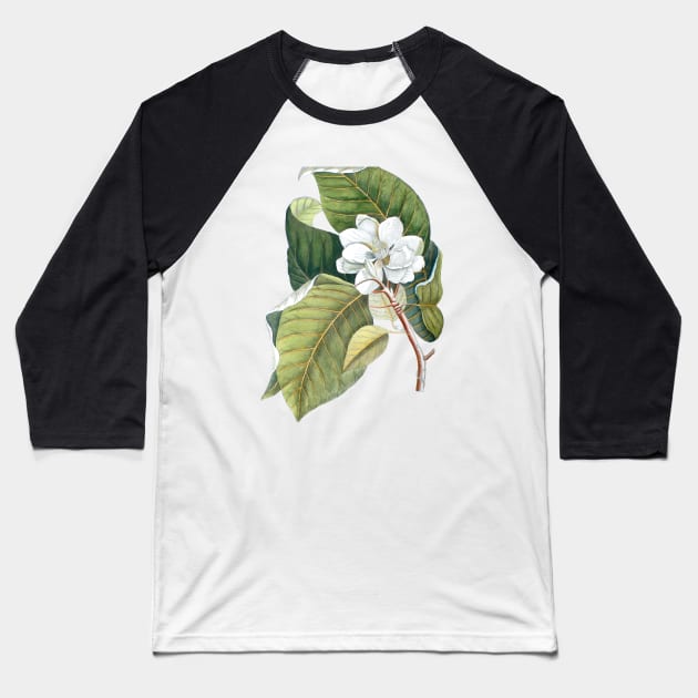 Vintage White Magnolia Baseball T-Shirt by AntiqueImages